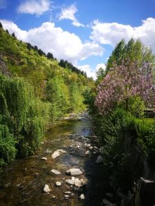 a river with pink flowers on the side of a hill at Studio Anastasia in Sapareva Banya