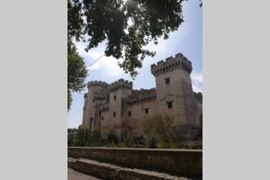 een groot kasteel met een boom op de voorgrond bij Calenco des Carlenes in Tarascon