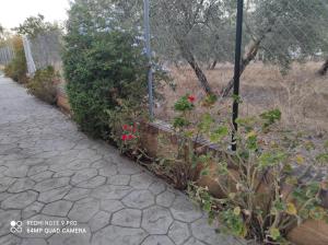 A garden outside LOS ABUELOS