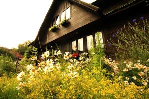 a house with a bunch of flowers in front of it at Pensiunea Dacica in Boşorod