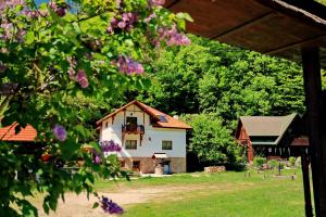 una casa y un granero con flores púrpuras en Pensiunea Dacica en Boşorod