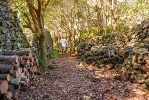 Um jardim em Casa Do Populo
