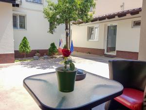 une table avec une plante en pot en haut dans l'établissement Nice & Cozy Apartments, à Timişoara