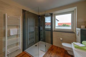 a bathroom with a glass shower and a toilet at Heidequartier Harz in Wernigerode
