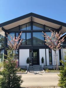 希明格Residence的一座大型玻璃建筑，前面有两棵树。