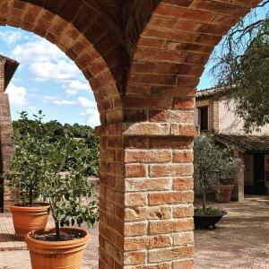 A garden outside La Fonte Di Montebuono