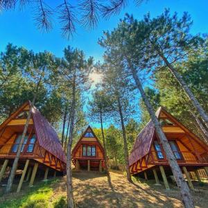 una cabaña en el bosque con árboles en Fikri Atalay Konağı Bungalov Evleri, en Mengen