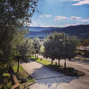 Táj Show holiday homes közelében