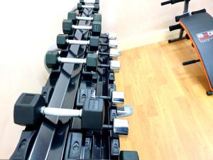 Fitness centrum a/nebo fitness zařízení v ubytování FORTUNE ATRIUM HOTEL