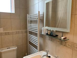 a bathroom with a sink and a toilet and a mirror at Peregrine House in Canterbury