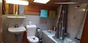 a bathroom with a sink and a toilet and a shower at Bauernhof Sot Curtegns in Savognin