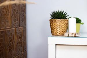 Fotografia z galérie ubytovania Apartamenty KDN na Rysiej v Katoviciach