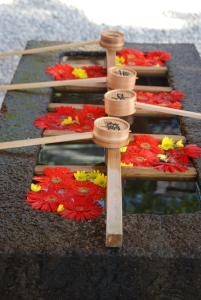 a bunch of flowers are laid out on the ground at Town Hotel 41 in Kanazawa