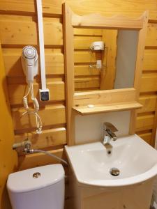 a bathroom with a toilet and a sink and a mirror at Willa Magdalena in Zakopane