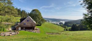 布萊特瑙的住宿－Ferienhütte Biobetrieb Lippenhof，绿色田野上山丘上的房屋