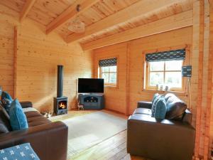 斯利福的住宿－Tythe Lodge，客厅配有两张沙发和一个炉灶