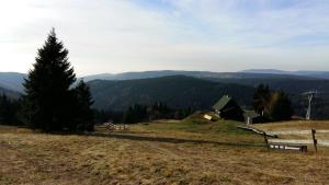 a grassy hill with a house and a tree on it at Apartmány Kůlna in Boží Dar