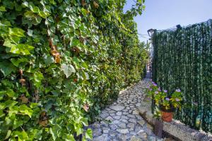 Zahrada ubytování Romantic Hamlet Cottage with Private Pool La Fragua de Eliseo