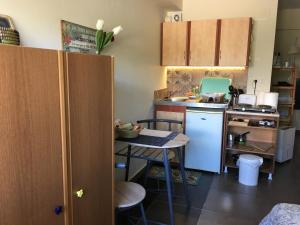 una pequeña cocina con mesa y una pequeña cocina con nevera. en Garden studio apartment, en Nauplia