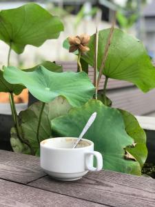 uma xícara de café em uma mesa ao lado de uma planta em Colorful Home Stay Phú Quốc em Duong Dong