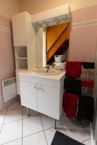 La salle de bains est pourvue d'un lavabo et d'un miroir. dans l'établissement Le nid breton, à Lézardrieux