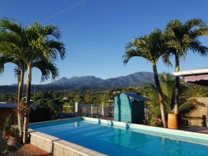 einen Pool mit Palmen und Bergen im Hintergrund in der Unterkunft Maison 80 m2 super vue montagne piscine 2 chambres in Goyave
