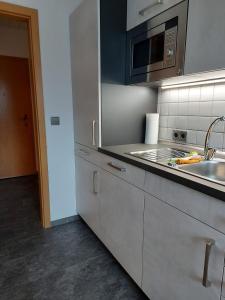 eine Küche mit einer Spüle und einer Mikrowelle in der Unterkunft Ferienwohnung Rothaarsteig in Winterberg-Neuastenberg in Winterberg