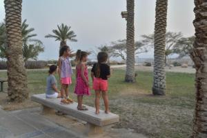 Gallery image of SPNI Ein Gedi Field School in Ein Gedi