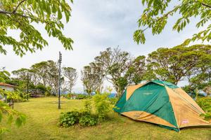 a tent sitting in the grass in a field at Gardenvilla Shirahama in Shimoda