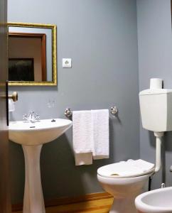 Un baño con lavabo, inodoro y espejo. en Alojamento Estrela Peles, en Sabugueiro