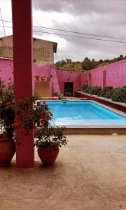 São Miguel House , Casa do Carvalhal في شنترين: حمام سباحة في منزل وردي مع نباتات الفخار