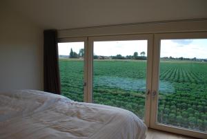 een slaapkamer met een bed en uitzicht op een veld bij In 't Groen in Watou