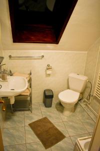 ein Bad mit einem WC und einem Waschbecken in der Unterkunft Privát Harenčár in Stará Lesná