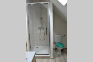 a bathroom with a shower and a toilet at gite Marlotte in La Lande-Saint-Siméon