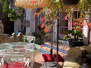 um pátio com uma mesa de vidro, cadeiras e plantas em Villa Rosa Inn em Santa Bárbara