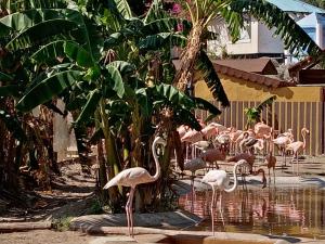 A garden outside CARPE DIEM Studio