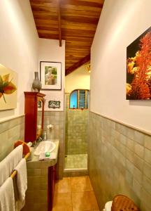 a bathroom with a shower and a sink and a toilet at Magic Mountain Views Villa in Atenas +28 photos