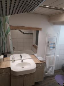 een badkamer met een wastafel en een spiegel bij Apartment Auszeit mit Küche viel Ruhe und Natur in Untrasried