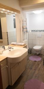 a bathroom with a sink and a toilet and a mirror at Apartment Auszeit mit Küche viel Ruhe und Natur in Untrasried