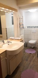 uma casa de banho com um lavatório, um WC e um espelho. em Apartment Auszeit mit Küche viel Ruhe und Natur em Untrasried