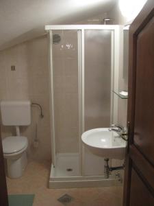 a bathroom with a shower and a toilet and a sink at Tourist Farm Petelin-Durcik in Pliskovica