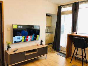 a living room with a large flat screen tv at Ferienwohnung Rapunzel in Altenau