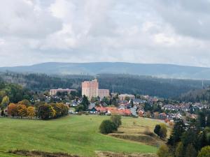 una ciudad con un campo verde y edificios a lo lejos en Ferienwohnung Rapunzel, en Altenau