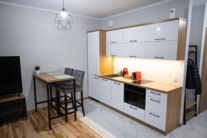 Kuchyňa alebo kuchynka v ubytovaní Apartament Ventus Business and Living 44