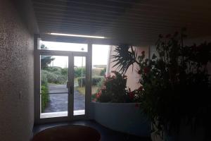 a room with a window and a potted plant at Studette accès plage in Saint-Jean-de-Monts