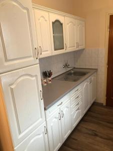 A kitchen or kitchenette at Bakonyi Mamutfenyő Vendégház