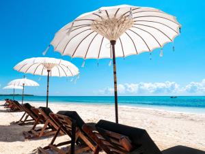 un grupo de sillas y sombrillas en una playa en Serenity Authentic Glamping Tulum en Xpu Ha
