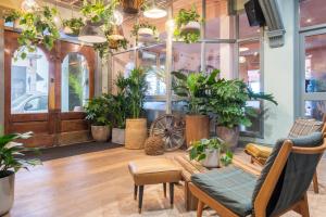 a room filled with lots of potted plants at Selina Brighton in Brighton & Hove
