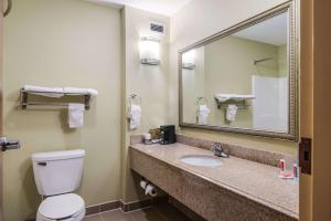 A bathroom at Econo Lodge Inn & Suites Little Rock SW