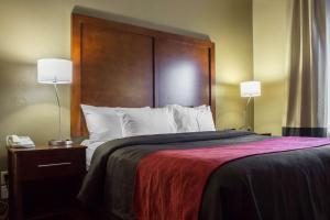 a bedroom with a large bed with a wooden headboard at Comfort Inn & Suites near Kino Sports Complex in Tucson